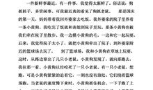 快乐的寒假作文