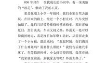 触动心灵的瞬间作文500字