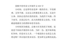 我的航天梦作文600字