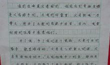 看灯会作文800字