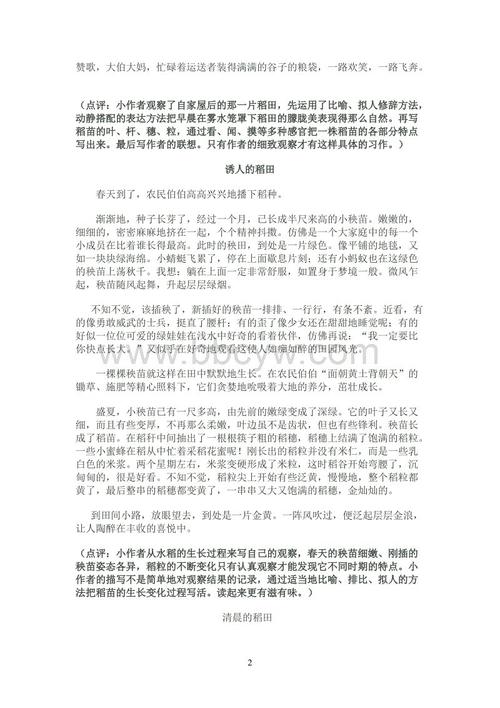 从三年级成分的观察结果