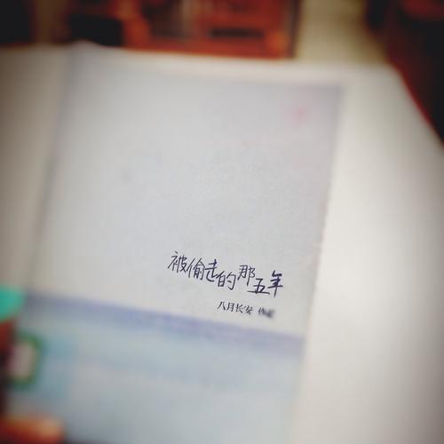 读《被盗五年》后的感想