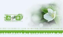 听见花开的声音作文