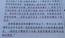 风流人物作文500字