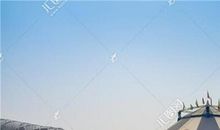 精彩的马戏作文