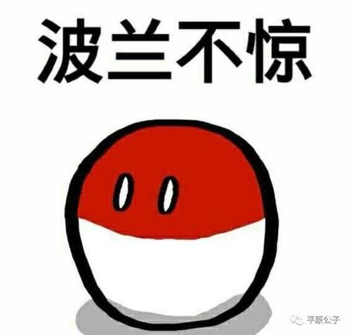 工作场所新移民的大忌:心脏比天空高,生活比纸薄