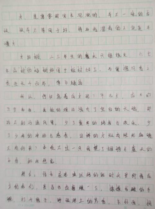 暑假作文600字