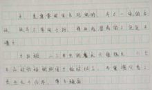 暑假作文600字
