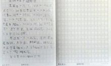 植物的特点作文