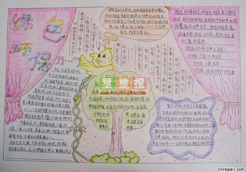 我的低碳生活组成