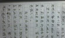 三年级作文游玩