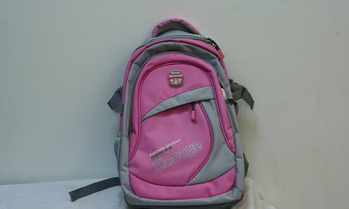 未来书包350个单词