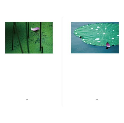 陈继清读书后的思想