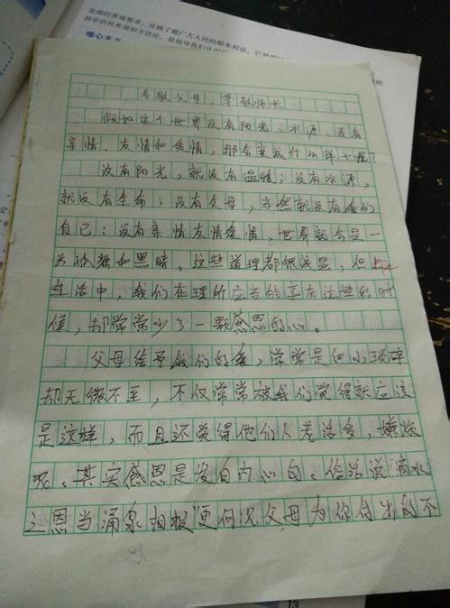 关于家庭作文的600字