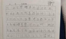 初一学生寒假日记