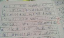 暑假趣事作文