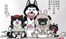 《就喜欢你看不惯我又干不掉我的样子》读后感