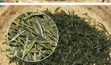 黄山松精神作文