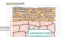 不会变的是坚持作文