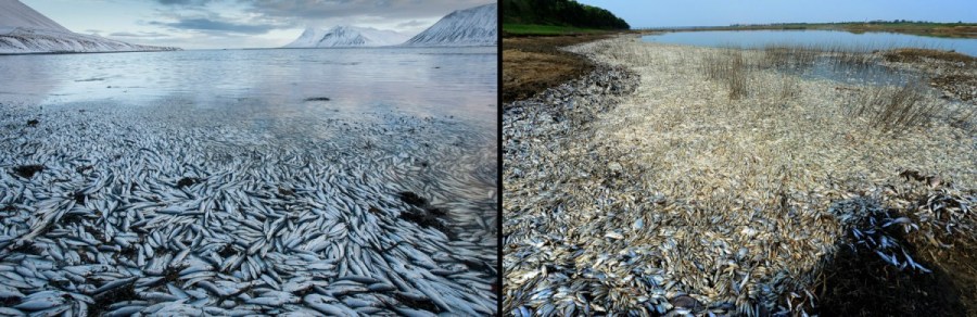 相识的时刻开始