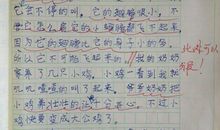 相识瞬间作文600字