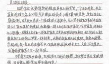 关于马的作文500字