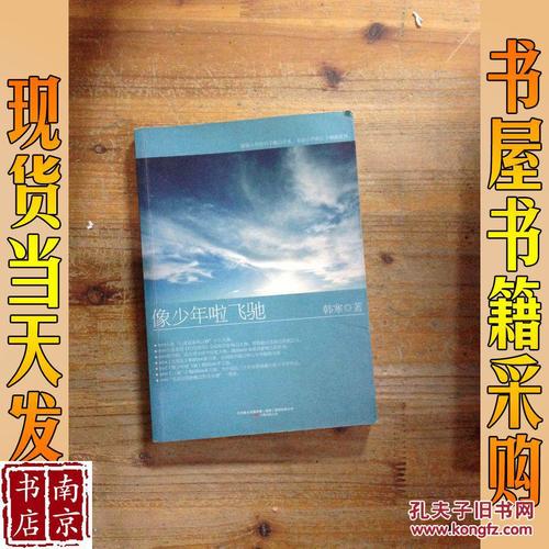 关于阅读《喜欢男孩,超速驾驶》的思考