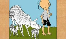 《小玩偶去流浪》读后感