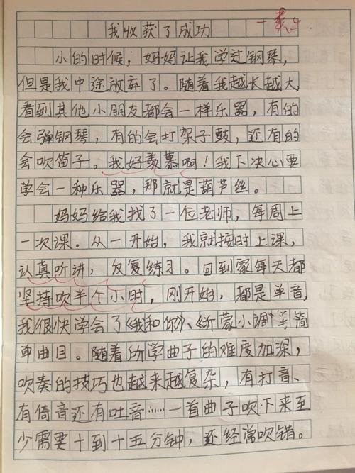 我三年级作文成功