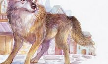 西顿动物小说读后感