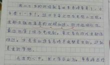 关于马的作文600字