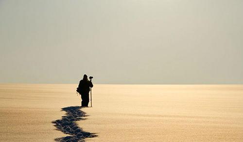 工作场所的灵感：逆境和挫折是人生的重要教训