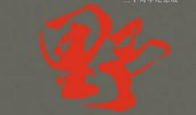 《野火集》读后感