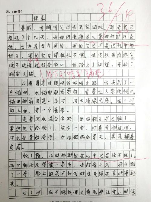惊喜组成500字