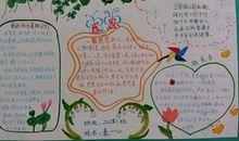 暑假的趣事
