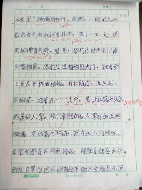 四年级春游组成