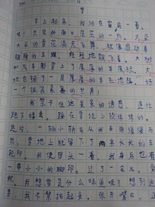 快乐暑期作文400字