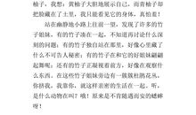 校园的一角400字