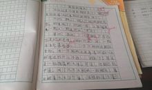 三年级作文学做饭