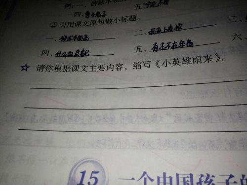 小英雄玉来的缩写200字