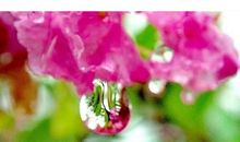 萤窗小语读后感