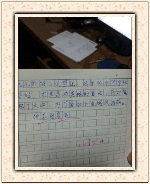 小学作文校园一角