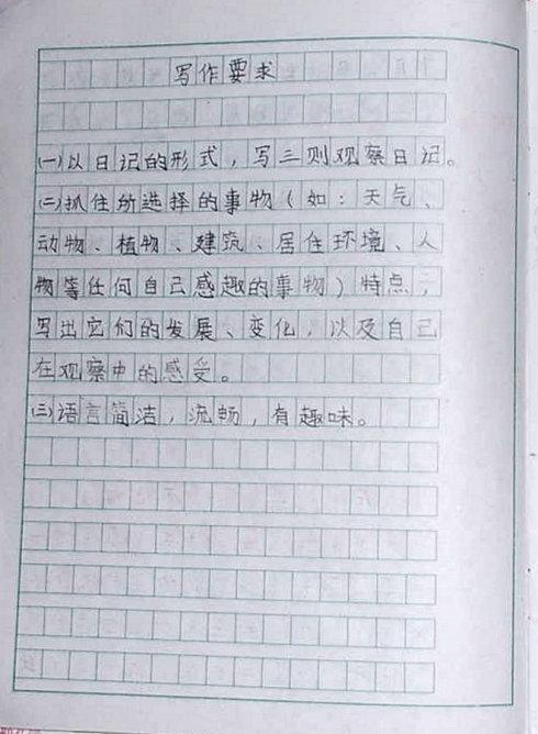 关于打雪仗的组成