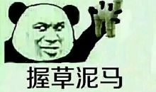 关于骂人的话