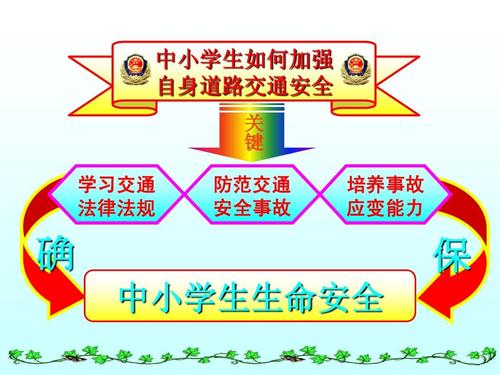 关于交通安全讲座的思考