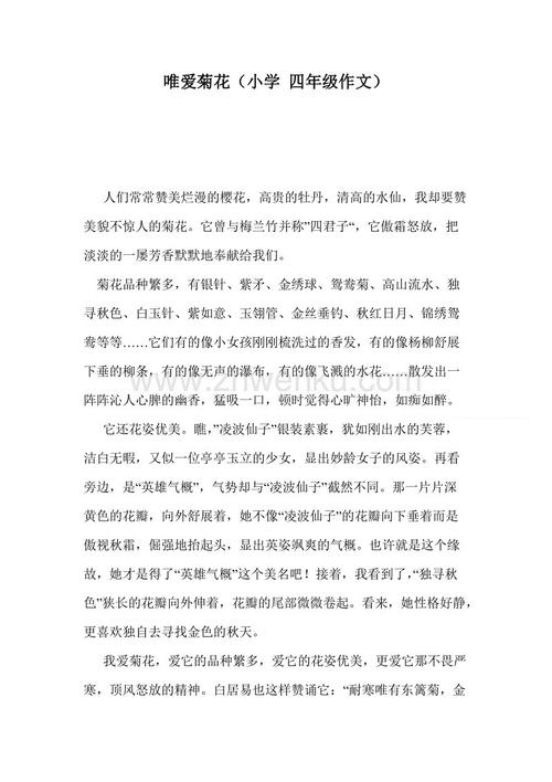 菊花组成450个单词