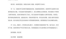 缩写小英雄雨来600字