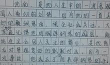 校园一角作文100字