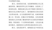 三年级作文校园一角