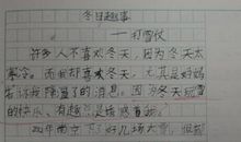 小学作文打雪仗